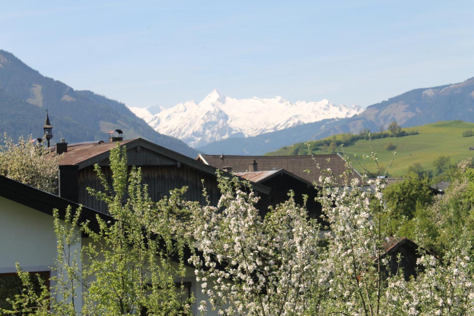 Haus Hartl Hotel Saalfelden Bagian luar foto